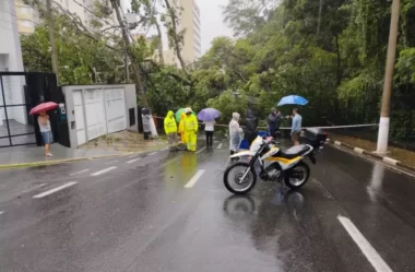 O trágico Verão passado