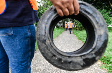A avassaladora proliferação da dengue em Campinas